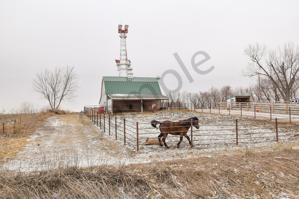 Farmhouses 51.Jpg Photography Art | Photos By Regan