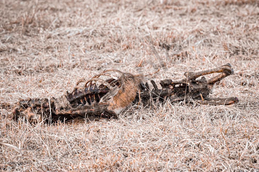 Farmhouses 1.Jpg Photography Art | Photos By Regan