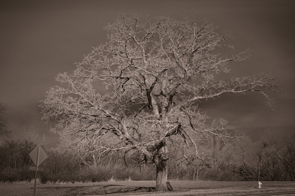 Farmhouses 125.Jpg Photography Art | Photos By Regan