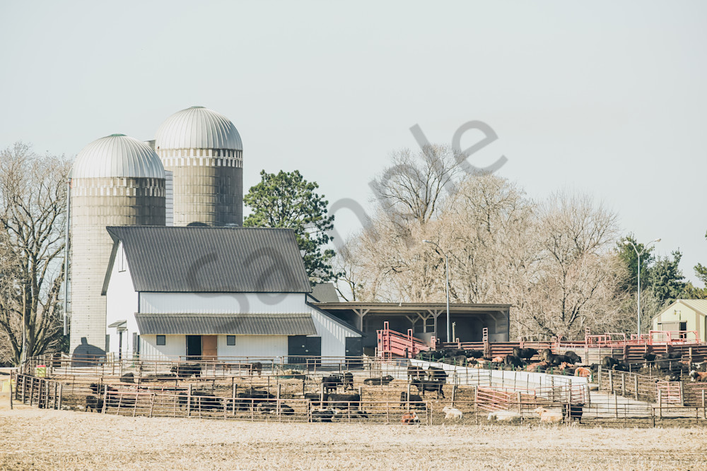 Farmhouses 72.Jpg Photography Art | Photos By Regan