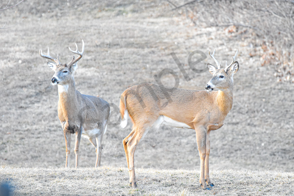 Farmhouses 7 2.Jpg Photography Art | Photos By Regan