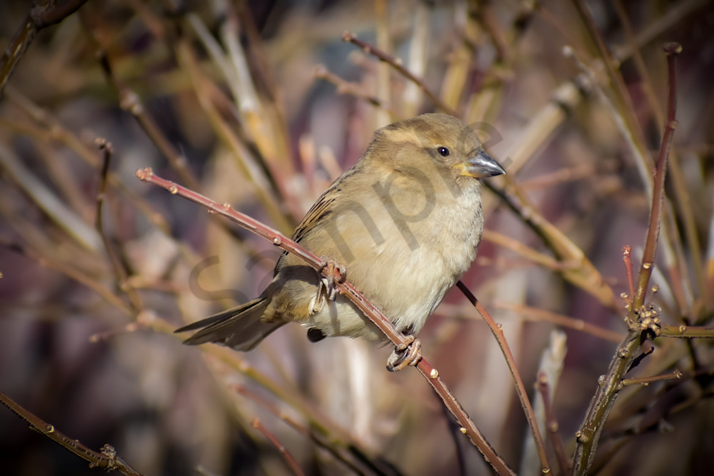 The East Village 10.Jpg Photography Art | Photos By Regan