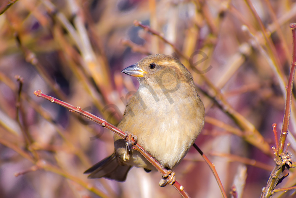 The East Village 9.Jpg Photography Art | Photos By Regan