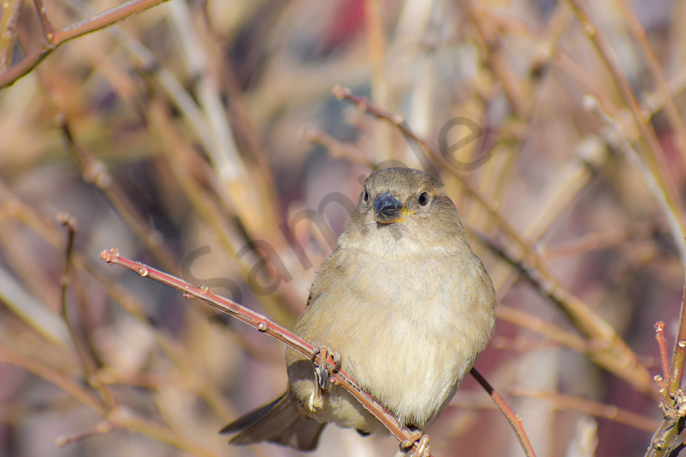 The East Village 8.Jpg Photography Art | Photos By Regan