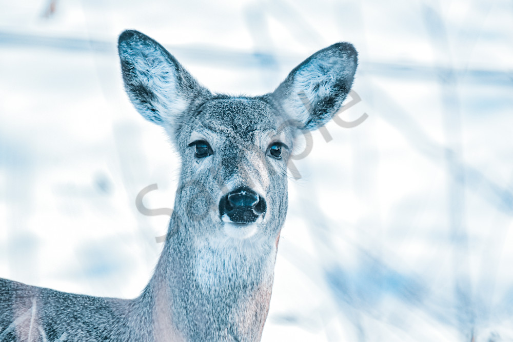 Country Roads 14.Jpg Photography Art | Photos By Regan