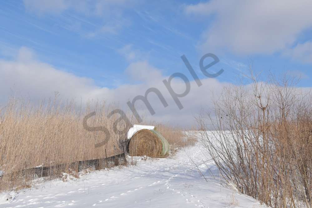 Country Roads 15.Jpg Photography Art | Photos By Regan