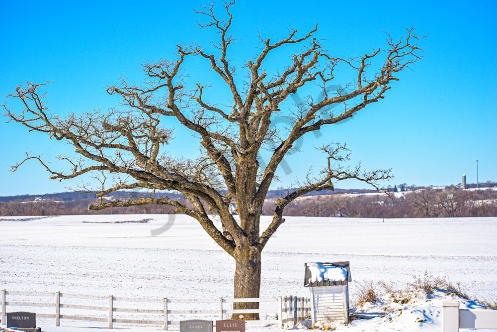 Country Roads 9.Jpg Photography Art | Photos By Regan