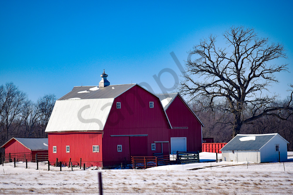 Variety 37.Jpg Photography Art | Photos By Regan