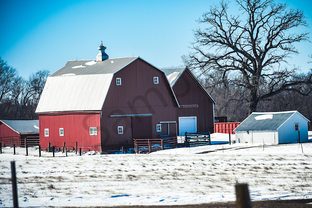 Variety 35.Jpg Photography Art | Photos By Regan