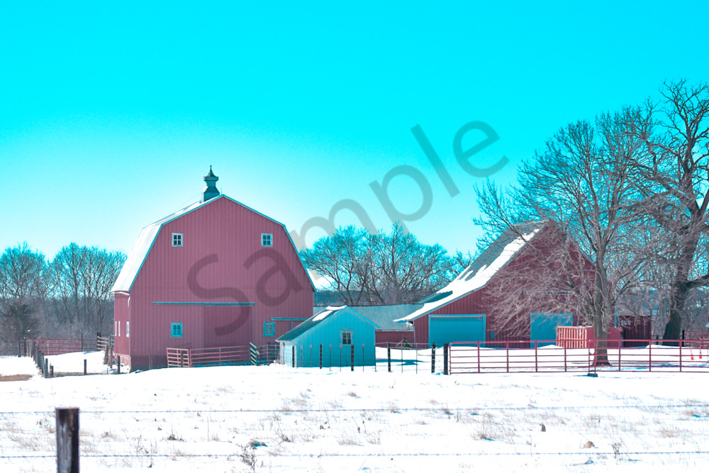 Variety 34.Jpg Photography Art | Photos By Regan