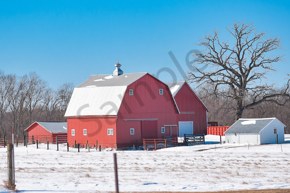 Variety 36.Jpg Photography Art | Photos By Regan