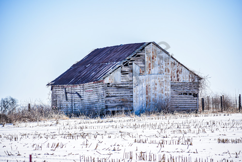 Variety 28.Jpg Photography Art | Photos By Regan