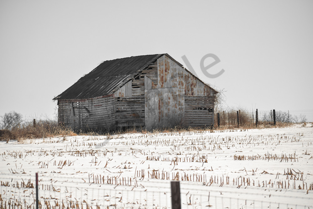 Variety 29.Jpg Photography Art | Photos By Regan