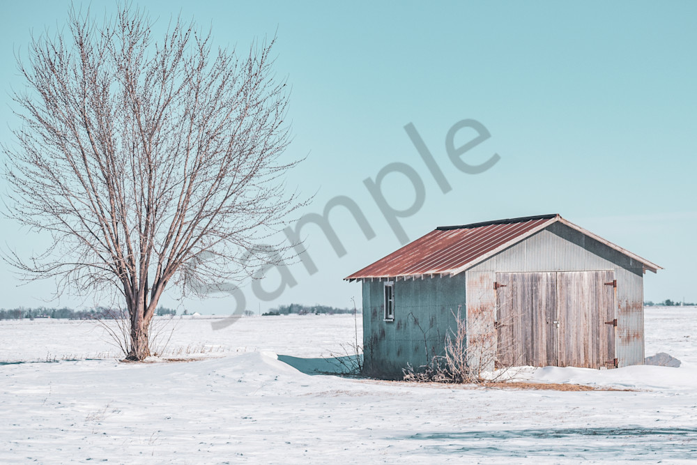 Variety 38.Jpg Photography Art | Photos By Regan