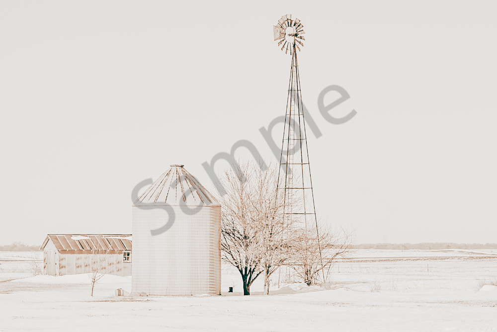 Variety 40.Jpg Photography Art | Photos By Regan