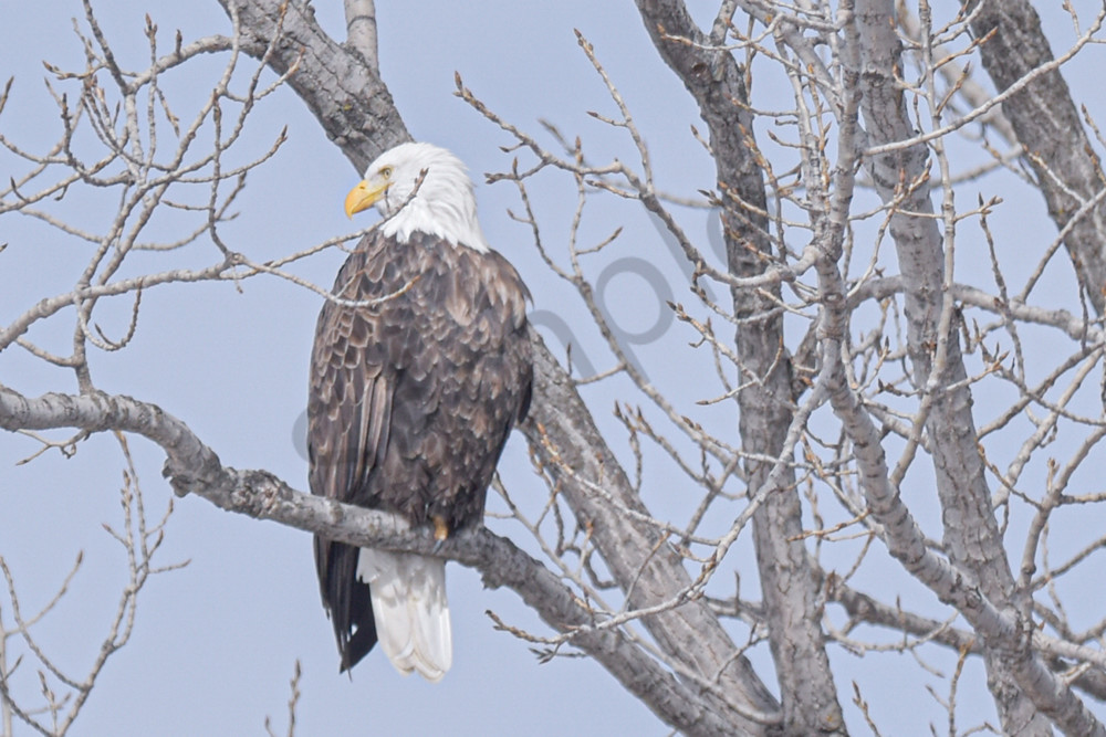 Farmhouses 40 2 Photography Art | Photos By Regan