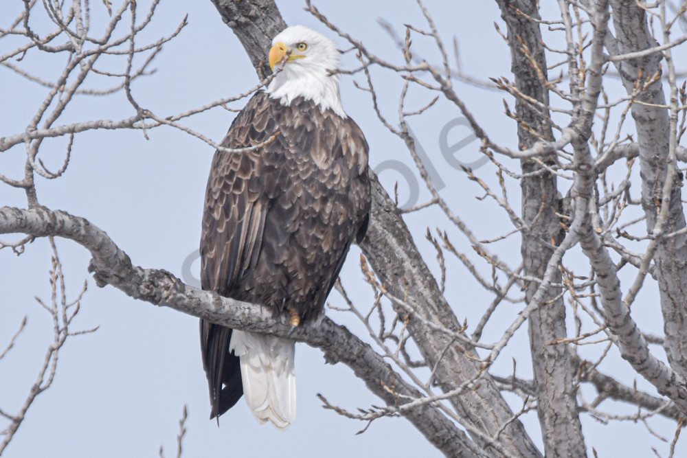 Farmhouses 43 2 Photography Art | Photos By Regan