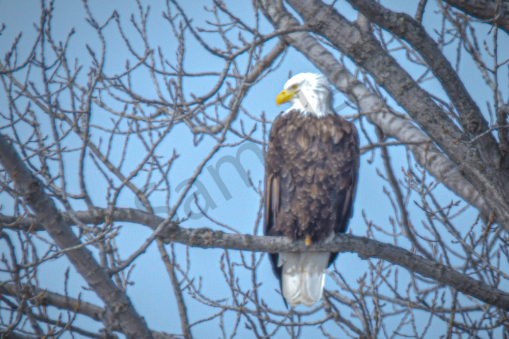 Farmhouses 36 2 Photography Art | Photos By Regan