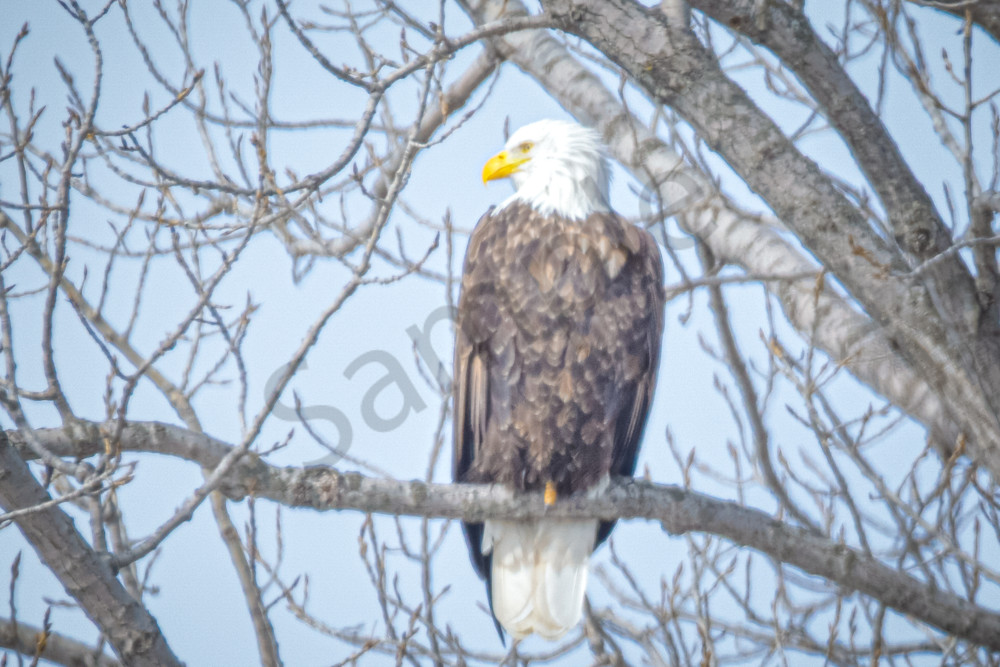 Farmhouses 37 2 Photography Art | Photos By Regan