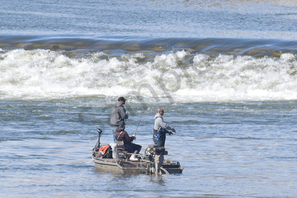 Farms And Birds 75 Photography Art | Photos By Regan