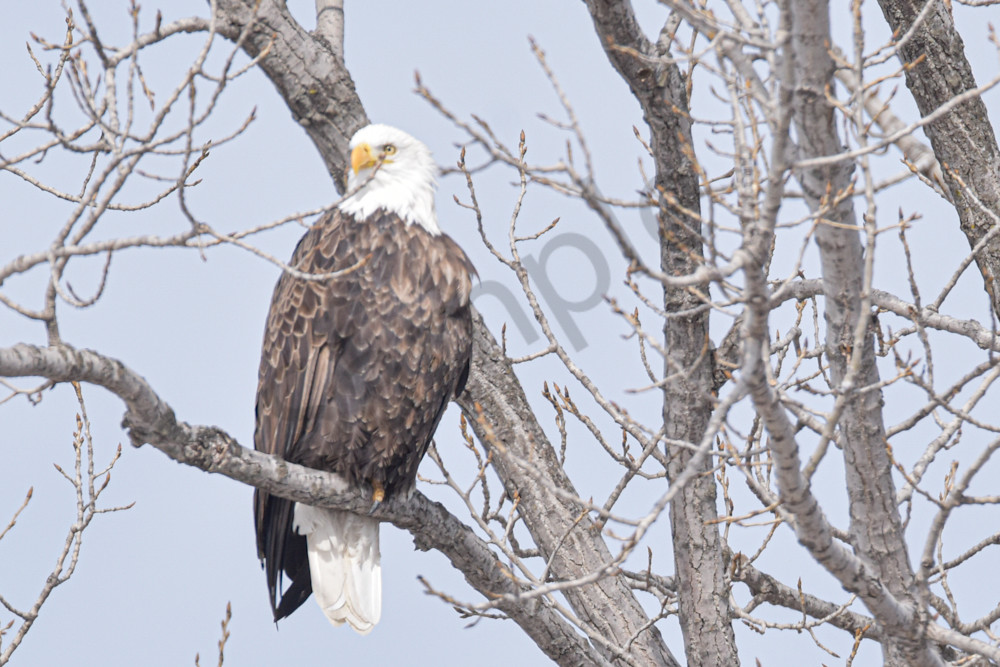 Farmhouses 38 2 Photography Art | Photos By Regan