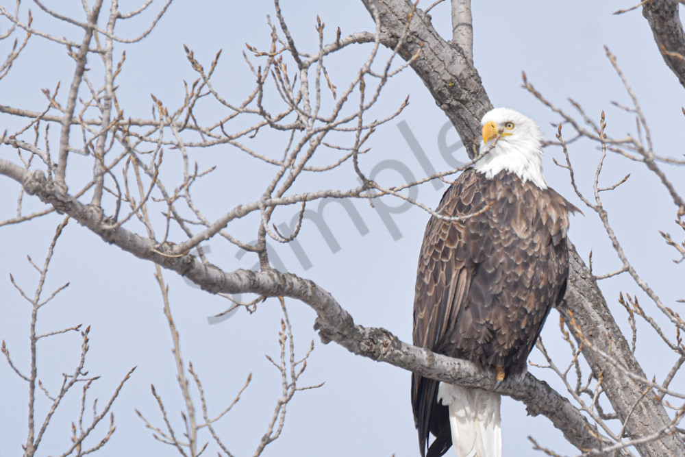 Farmhouses 39 2 Photography Art | Photos By Regan