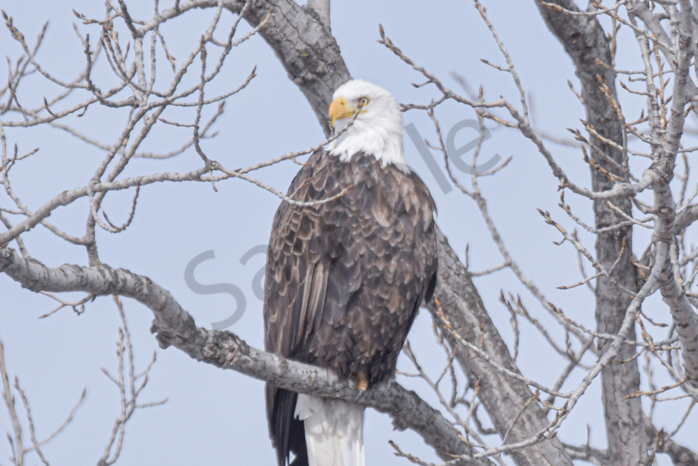 Farmhouses 41 2 Photography Art | Photos By Regan