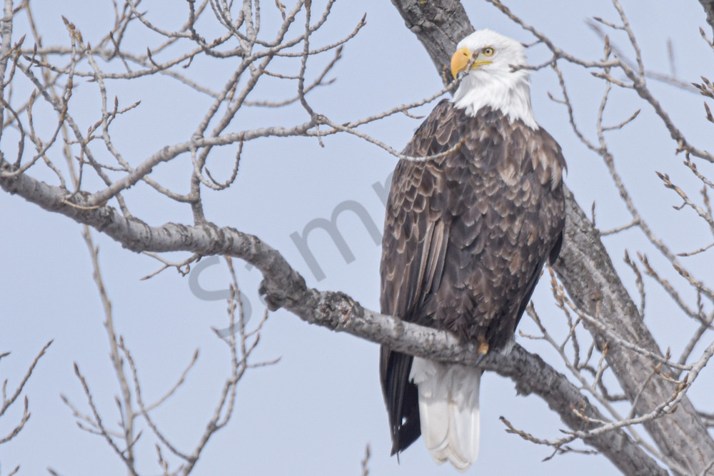 Farmhouses 42 2 Photography Art | Photos By Regan