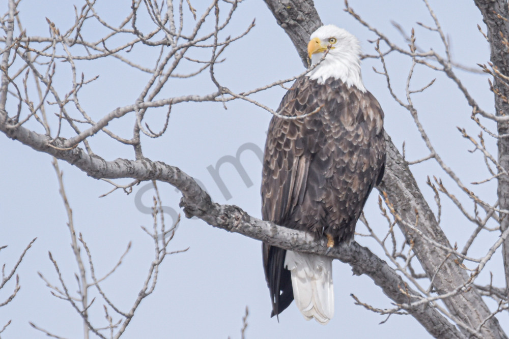 Farmhouses 44 2 Photography Art | Photos By Regan