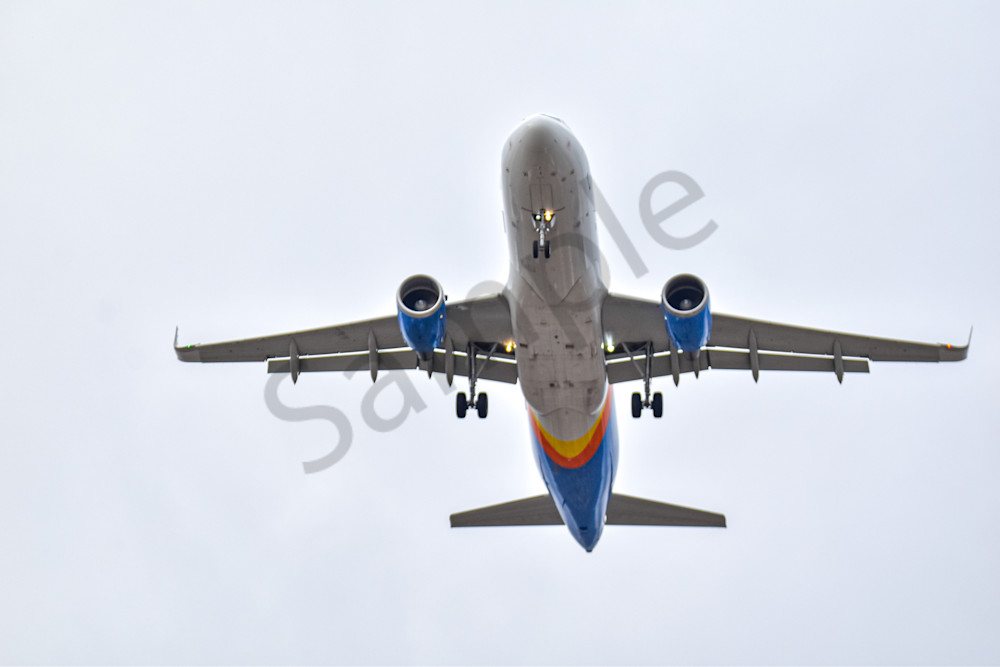 Assorted 2 Photography Art | Photos By Regan