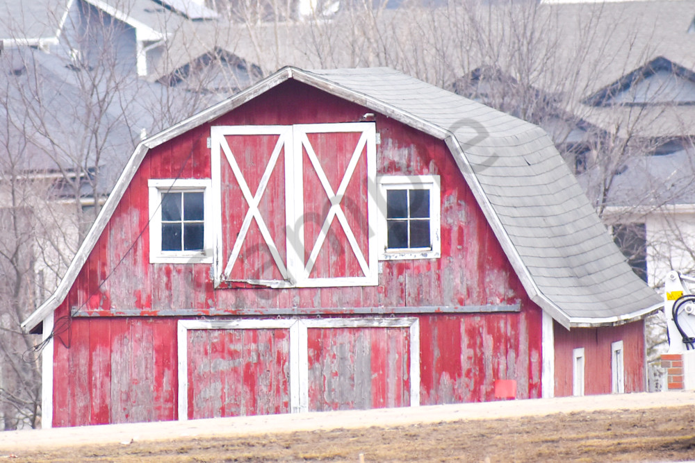 Assorted 22 Photography Art | Photos By Regan