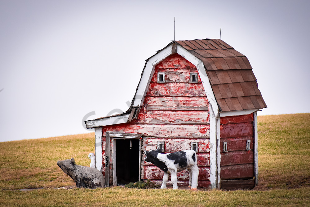 Assorted 13 Photography Art | Photos By Regan