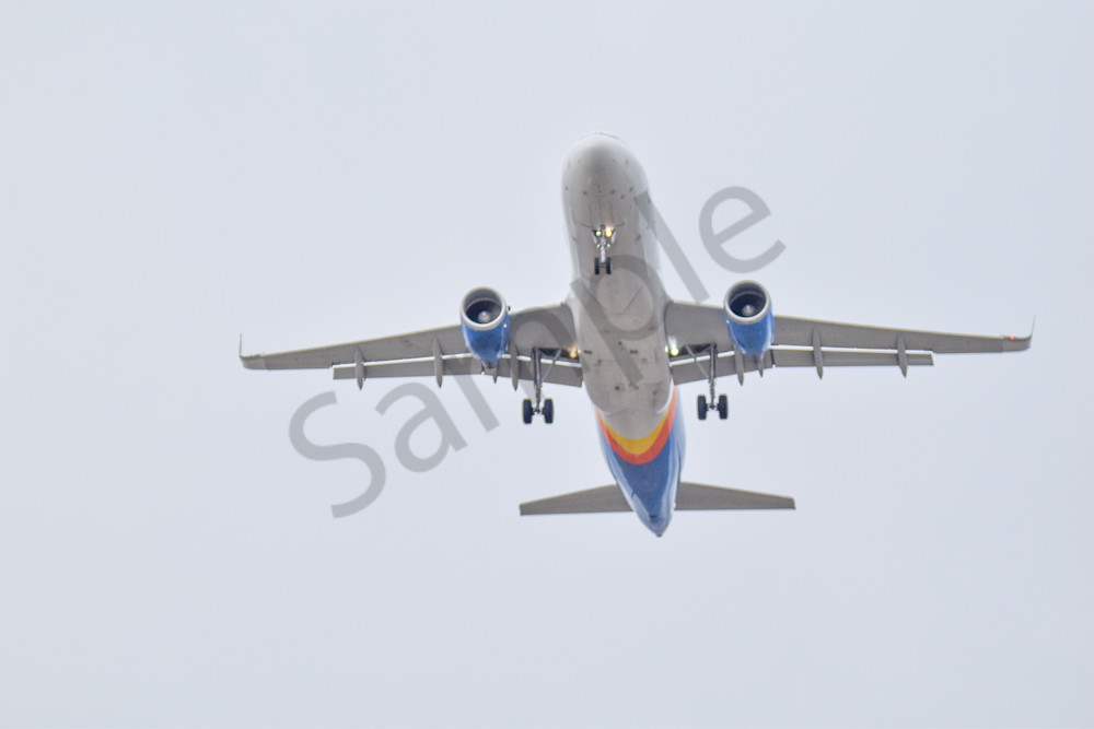 Assorted 3 Photography Art | Photos By Regan