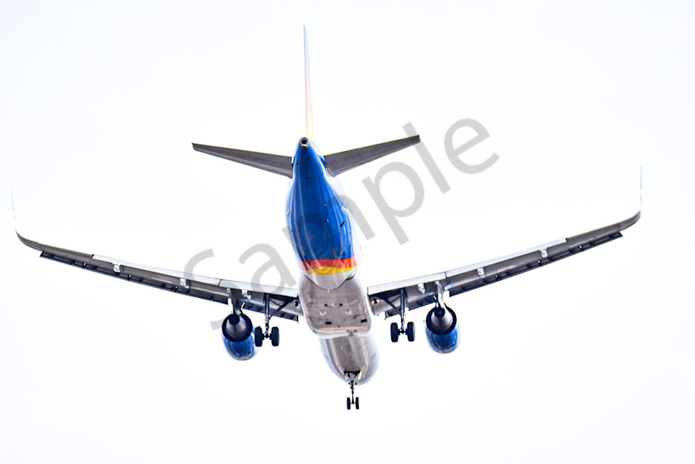 Assorted 1 Photography Art | Photos By Regan