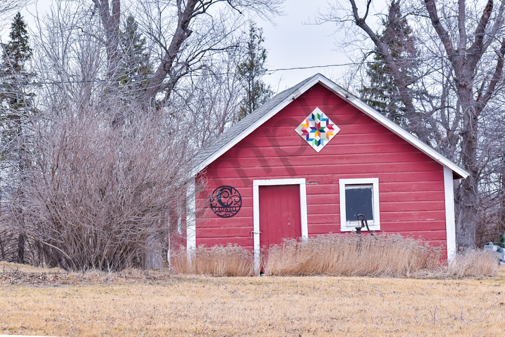 Assorted 17 Photography Art | Photos By Regan