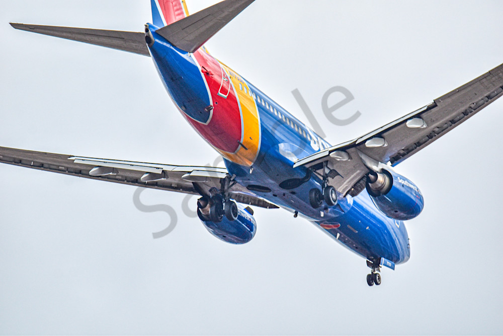 Assorted 8 Photography Art | Photos By Regan