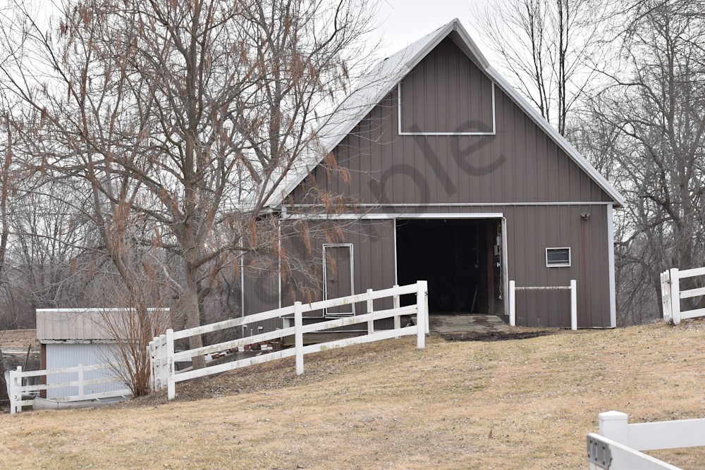 Assorted 18 Photography Art | Photos By Regan