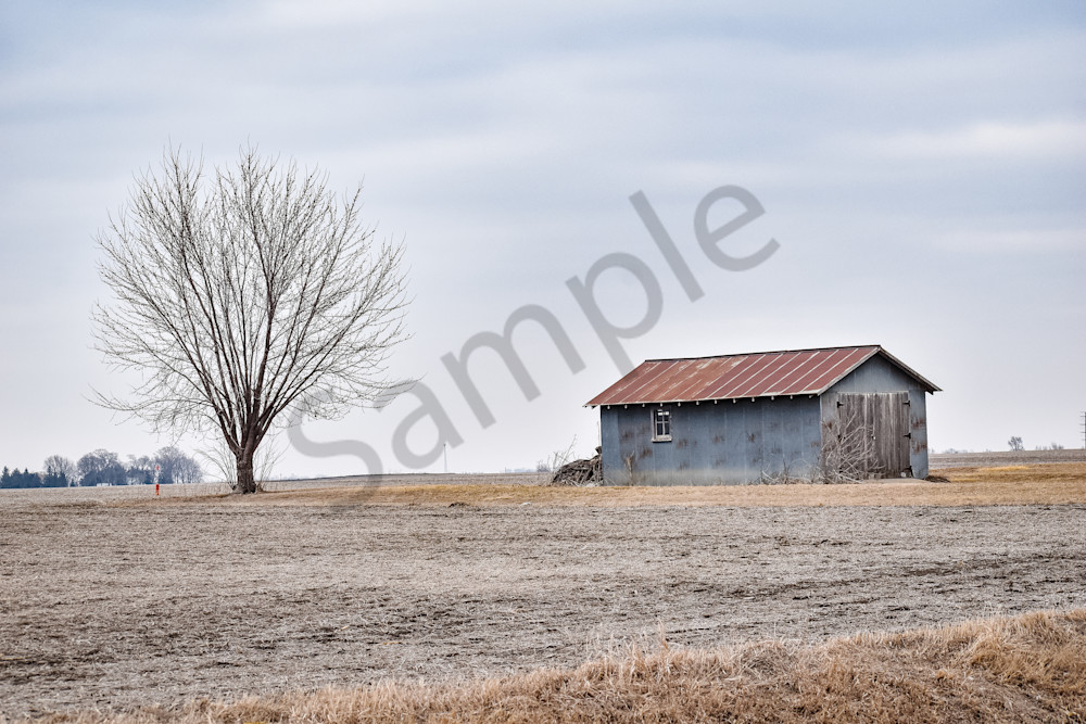 Assorted 16 Photography Art | Photos By Regan