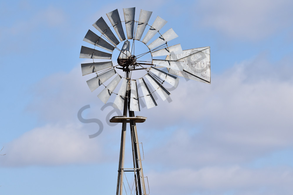 Birds And Farms 5 Photography Art | Photos By Regan