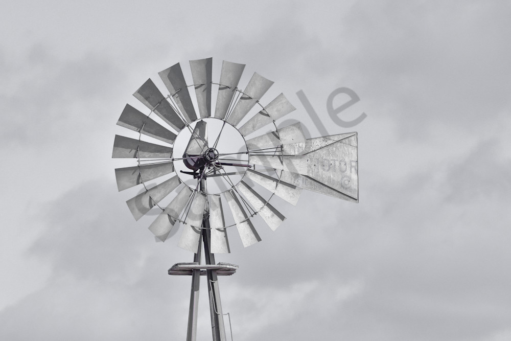 Birds And Farms 4 Photography Art | Photos By Regan