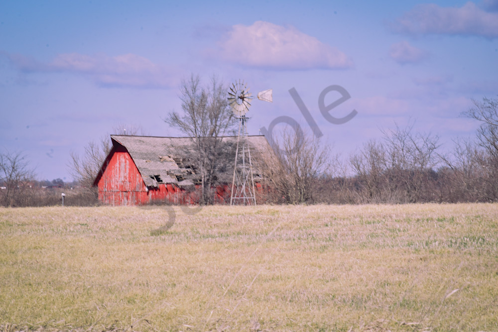 Birds And Farms 1 Photography Art | Photos By Regan