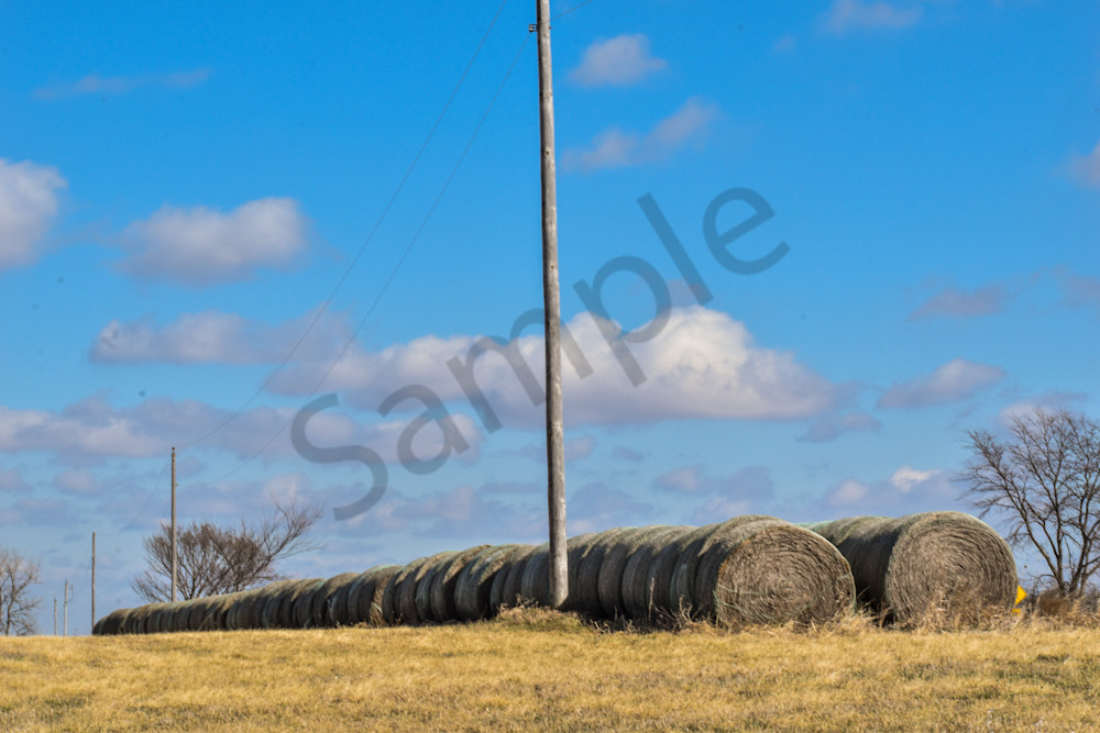 Birds And Farms 2 Photography Art | Photos By Regan