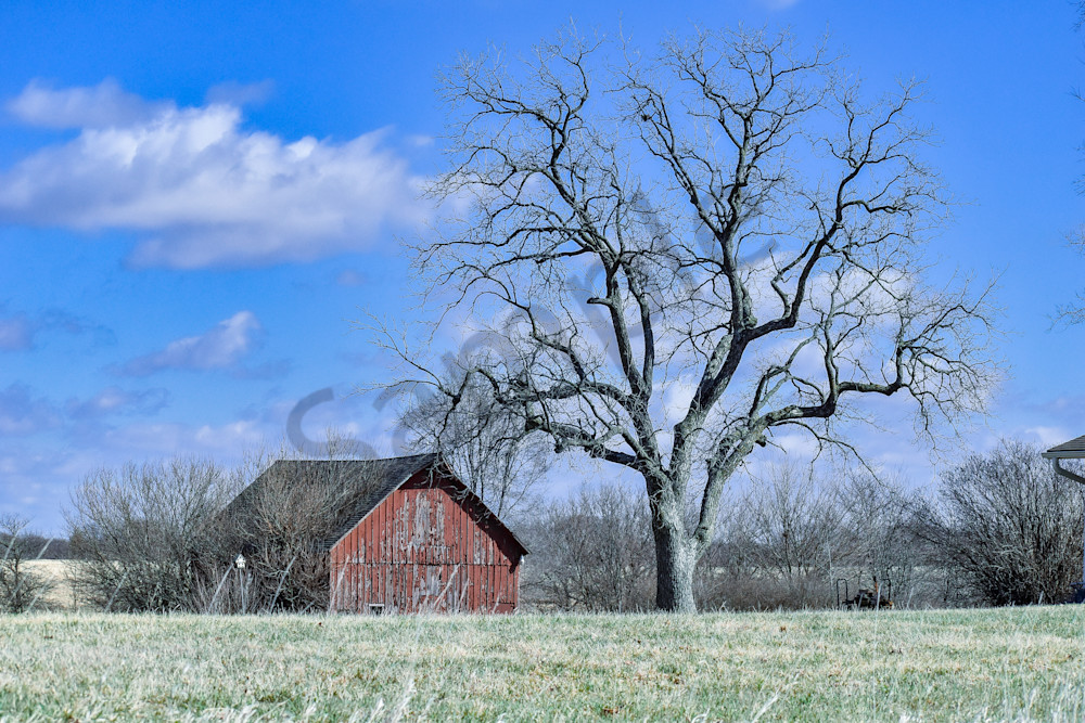 Birds And Farms 3 Photography Art | Photos By Regan