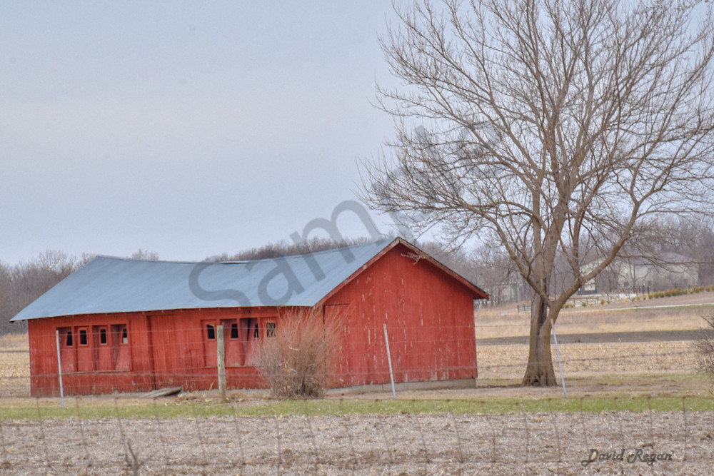 Earlham Farms 11 Photography Art | Photos By Regan