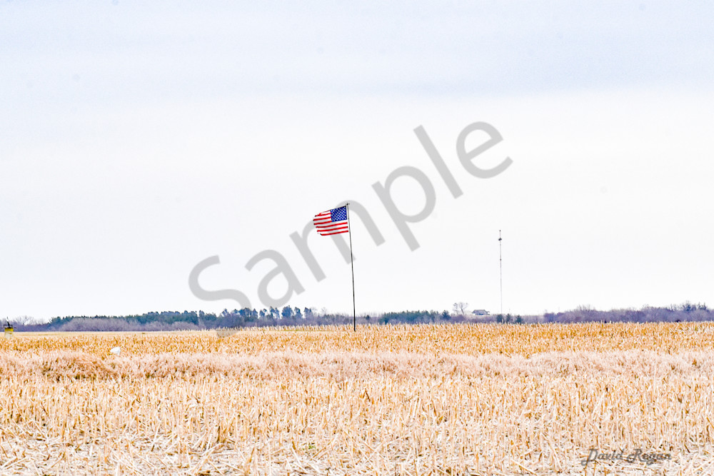 Earlham Farms 3 Photography Art | Photos By Regan