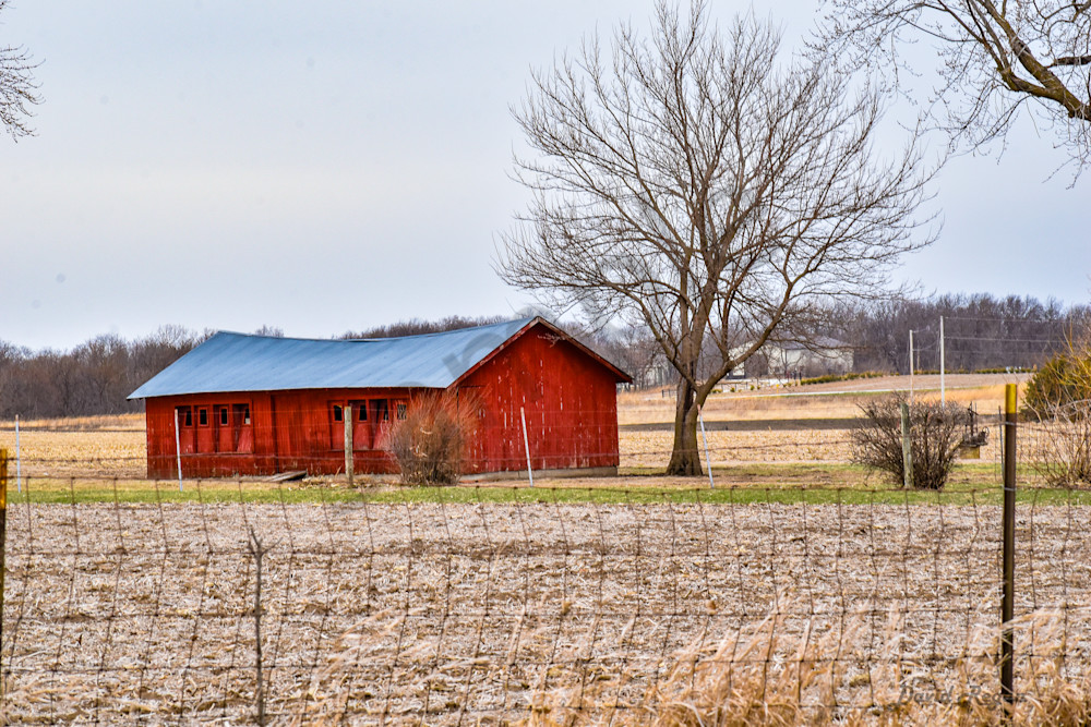 Earlham Farms 12 Photography Art | Photos By Regan