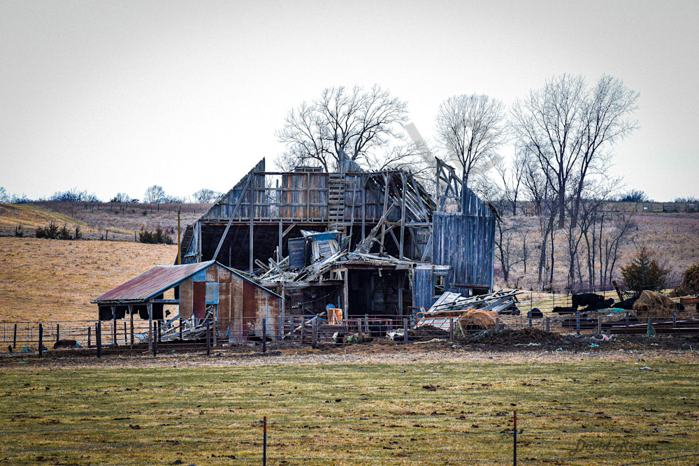 Earlham Farms 31 Photography Art | Photos By Regan