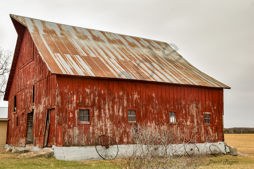 Earlham Farms 9 Photography Art | Photos By Regan