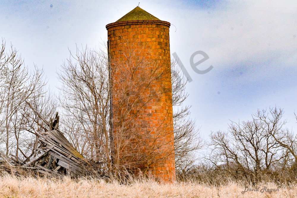 Earlham Farms 14 Photography Art | Photos By Regan