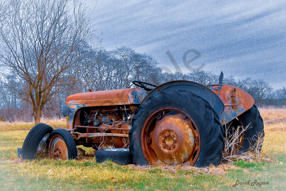 Earlham Farms 25 Photography Art | Photos By Regan